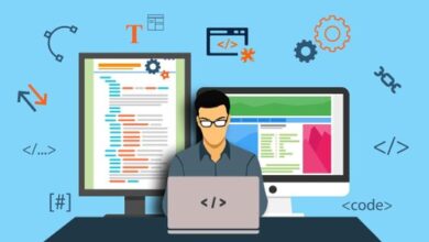 What Can a Professional Web Developer Do for You