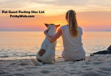 Pet Guest Posting Sites List